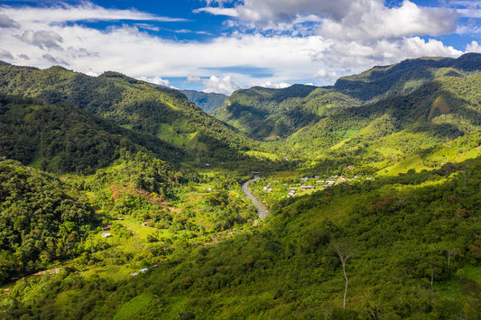 Single Origin Showcase: Peru